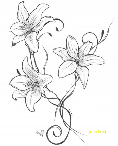 Fleur De Lys Dessin Nouveau Image Fleur De Lys Dessin Contemporain Lilies Other Tattoo Idea