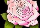 Fleur Dessin Rose Inspirant Collection Rose Dessin Vintage · Vectorielles Gratuites Sur