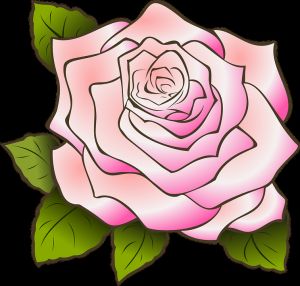 Fleur Dessin Rose Inspirant Collection Rose Dessin Vintage · Vectorielles Gratuites Sur