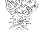 Fleur Rose Dessin Beau Photographie Fleur Rose Coloriage Dessin N 4975 Fia Coloriage