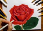 Fleur Rose Dessin Bestof Images Fleur Dessin En Quelques étapes Faciles à Suivre Inspirez