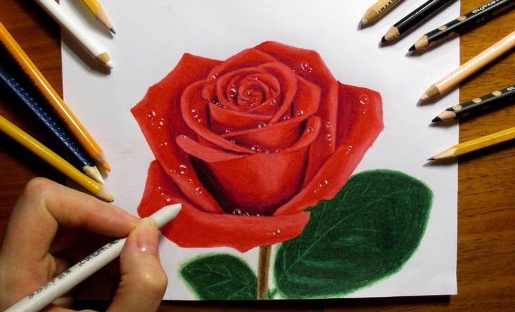 Fleur Rose Dessin Bestof Images Fleur Dessin En Quelques étapes Faciles à Suivre Inspirez