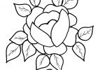 Fleur Rose Dessin Inspirant Image Coloriage D Une Grosse Fleur Rose Tête à Modeler
