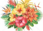 Fleur Tropicale Dessin Bestof Images Fleurs Tropicales Arrangement