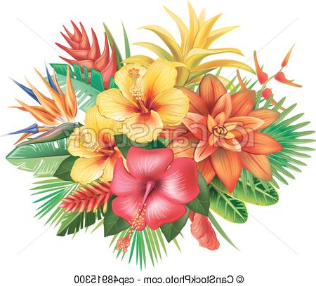 Fleur Tropicale Dessin Bestof Images Fleurs Tropicales Arrangement