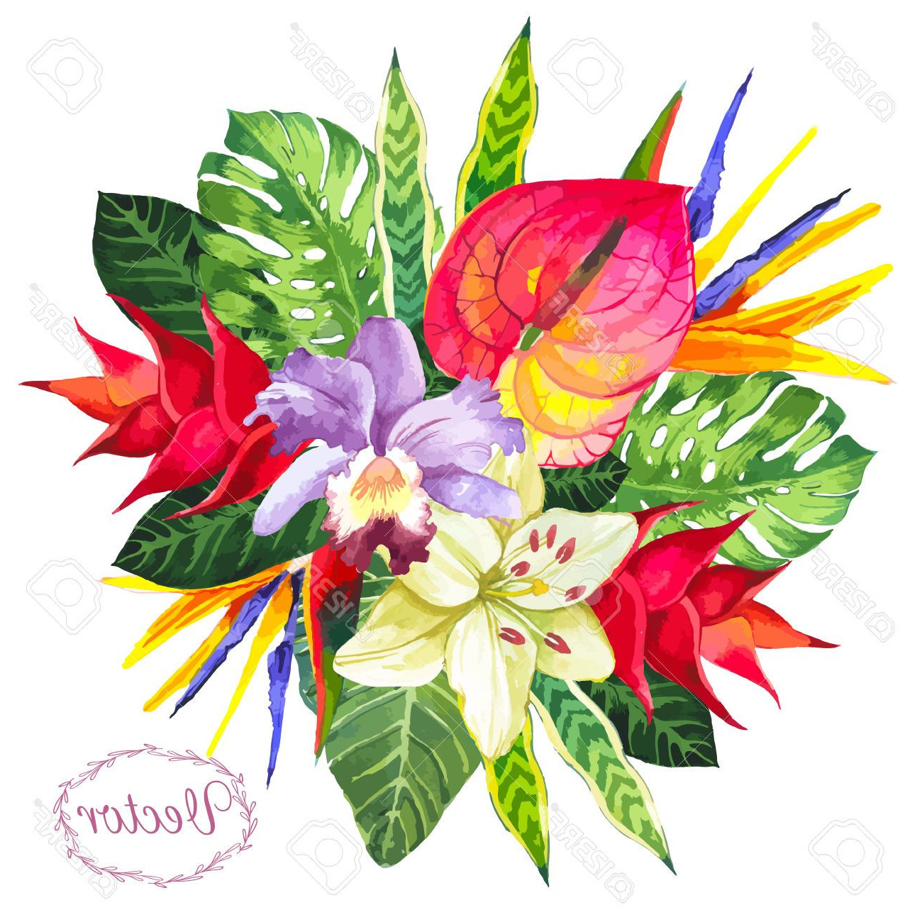 Fleur Tropicale Dessin Élégant Photographie Похожее изображение фоамиран