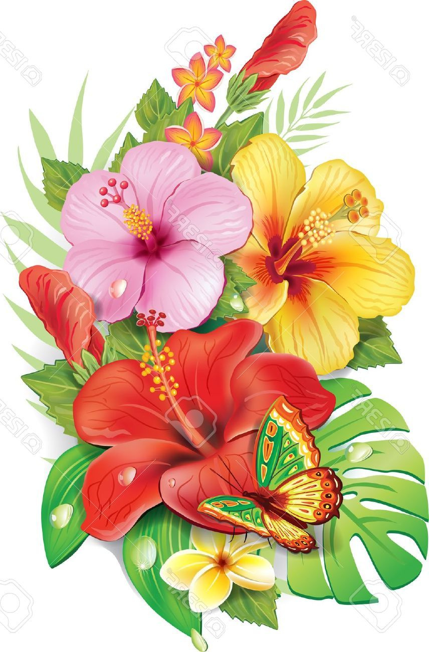 Fleur Tropicale Dessin Impressionnant Photos Bouquet De Fleurs Tropicales Fleurs Pinterest