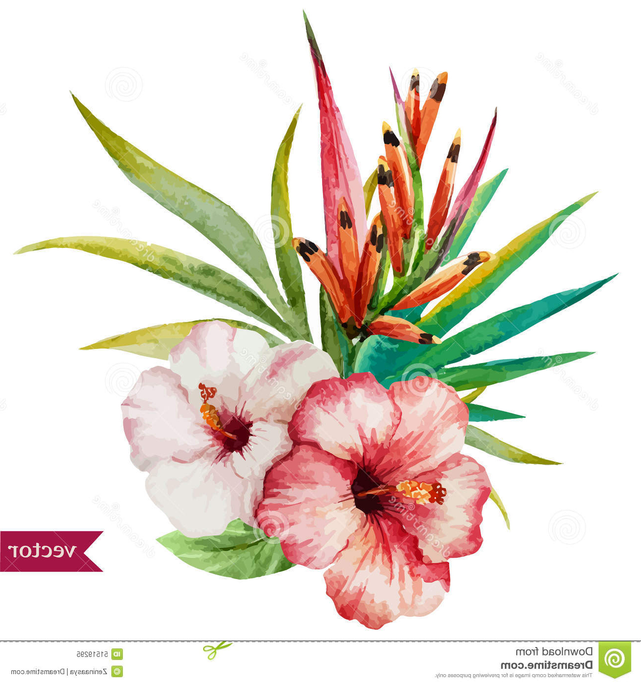 Fleur Tropicale Dessin Nouveau Galerie Fleurs Tropicales Gentilles Illustration De Vecteur