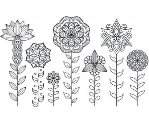 Fleurs à Imprimer Gratuitement Luxe Images Dessin A Imprimer De Mandala Fleurs Automne Artherapie