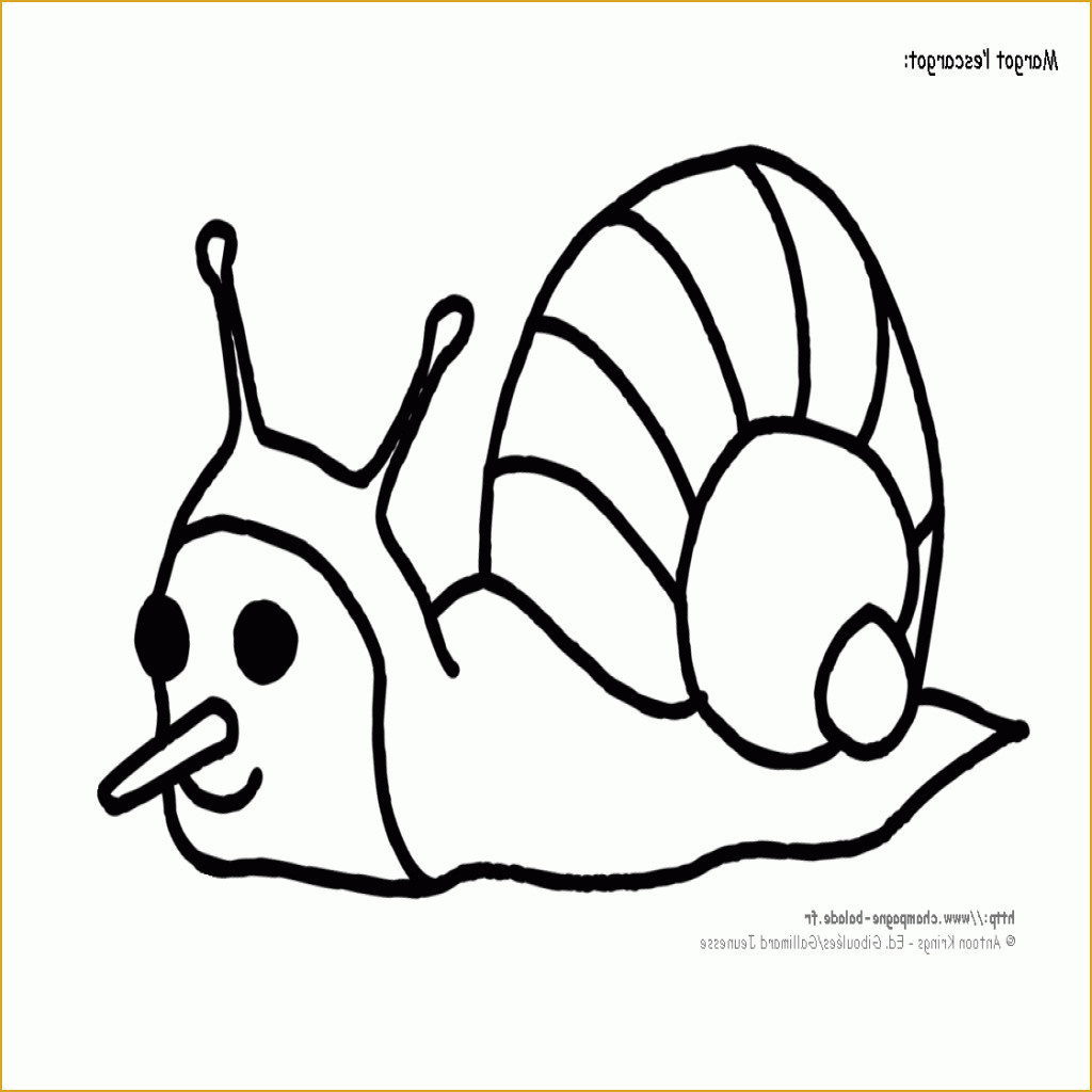 Hugo L&amp;#039;escargot Pokemon Élégant Image Coloriage Hugo L Escargot Moderne Hugo L Escargot