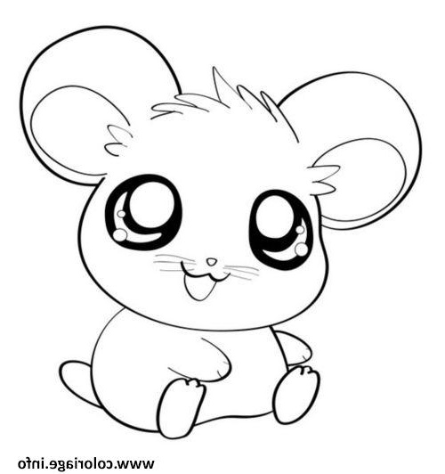 Kawaii Dessin A Colorier Beau Image Coloriage Hamster Cute Mignon Animaux Jecolorie
