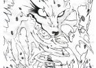 Kyubi Dessin Inspirant Photos Coloriage Manga Naruto Kyubi 16 Jecolorie