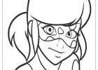 Ladybug Et Chat Noir Coloriage Inspirant Photos Coloriage Chat