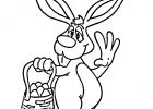 Lapin à Colorier Élégant Galerie Dessin Marrant A Colorier
