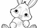 Lapin Coloriage Impressionnant Image Coloriage Lapin 18 Coloriage Lapins Coloriage Animaux