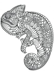 Mandala Animal Unique Photos Animal Mandala Coloring Pages Best Coloring Pages for Kids