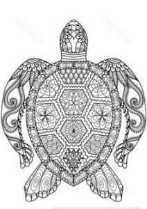 Mandala Animaux Sauvages Luxe Photographie Coloriages Mandala Animaux 10