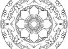 Mandala Coloriage Beau Collection Mandala Papillons Et Fleurs Mandalas Coloriages