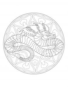 Mandala Dragon Nouveau Photographie Free Mandalas Page Coloring to Print Mandala Dragon 4