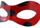 Masque Chat Noir Miraculous Luxe Photos Ladybug Cosplay Mask Miraculous Find
