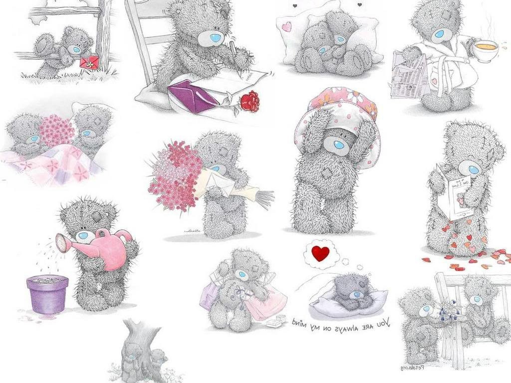 Me to You Dessin Beau Stock Wallpapers Tatty Teddy Flower Me to You Free Screensavers
