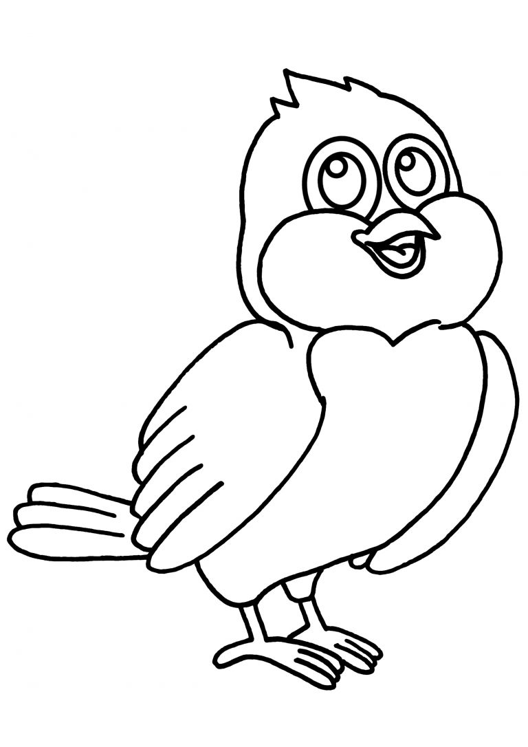 Oiseau Dessin Simple Cool Images Coloriage Oiseaux Dans Nid  Coloriage