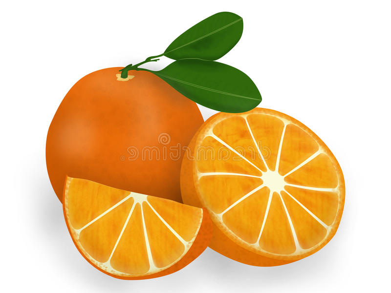 Orange Coloriage Nouveau Stock Evo Magz V4 7
