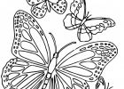Papillon à Imprimer Gratuit Impressionnant Image Coloriage Paysage De Papillon En Ligne Dessin Gratuit à
