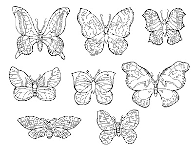 Papillon à Imprimer Gratuit Nouveau Image Coloriage Papillons Gratuit Animaux