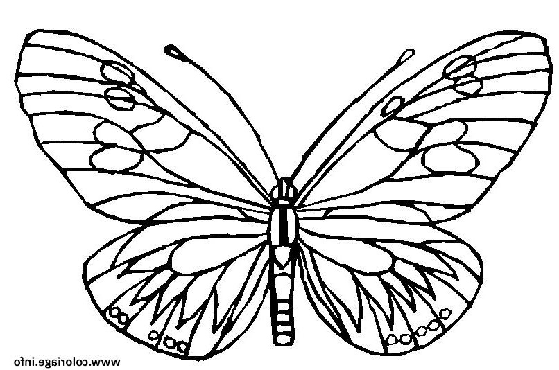 Papillon à Imprimer Gratuit Unique Images Coloriage Papillon 148 Dessin