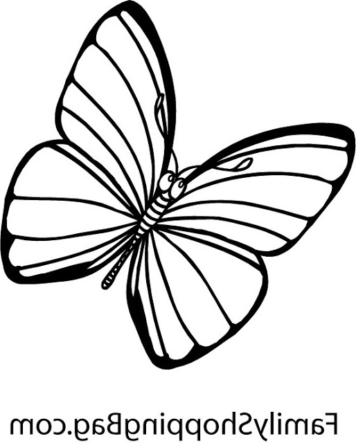 Papillon à Imprimer Gratuit Unique Photographie Coloriage à Imprimer Gratuit Coloriage Papillon à