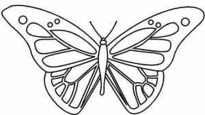 Papillons à Colorier Élégant Images Papillon 68 Animaux – Coloriages à Imprimer