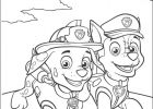Paw Patrol Coloriage Inspirant Images Coloriage Chase Et Marcus