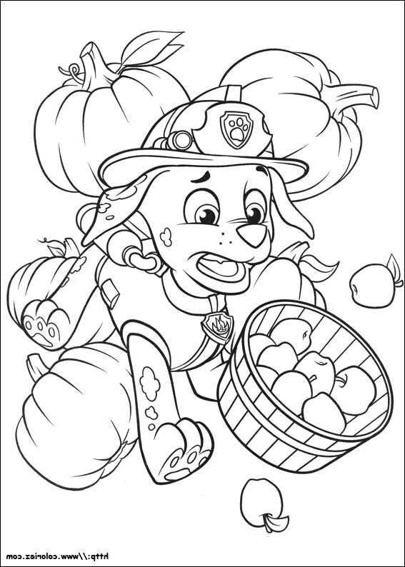 Paw Patrol Coloriage Luxe Photos Coloriage Oups