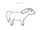 Poney à Colorier Cool Galerie Coloriage à Imprimer Un Poney