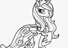 Princesse à Colorier Impressionnant Image My Little Pony Filly Coloring Pages All to Her Coloring