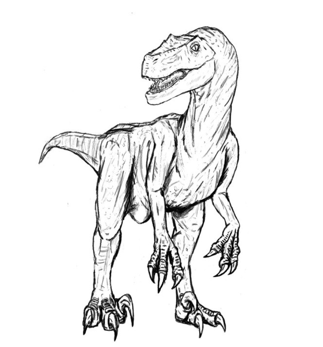 Raptor Dessin Élégant Collection Velociraptor Coloring Pages Best Coloring Pages for Kids