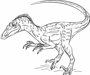 Raptor Dessin Unique Galerie Coloriage Dinosaure Velociraptor à Imprimer Sur Coloriages