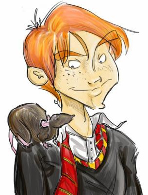 Ron Weasley Dessin Luxe Images Ronald Weasley Et Croûtard Fanfiction Harry Potter