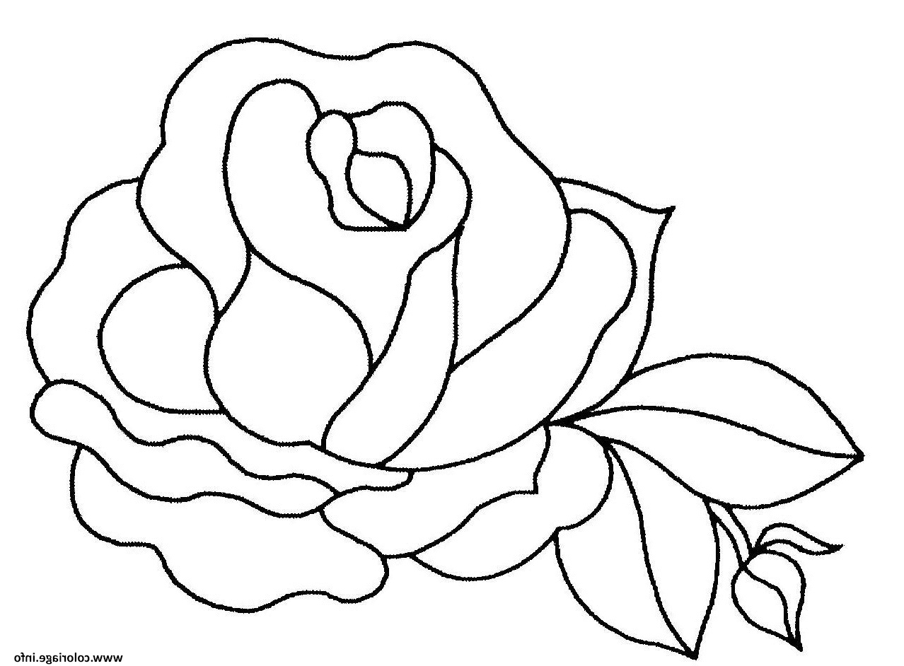 Rose A Imprimer Beau Image Coloriage Fleur De Rose Jecolorie