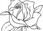 Rose A Imprimer Cool Collection Coloriage Fleur Rose à Imprimer Sur Coloriages Fo