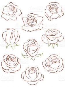 Rose Dessin Simple Cool Photos Best 20 Rose Illustration Ideas On Pinterest