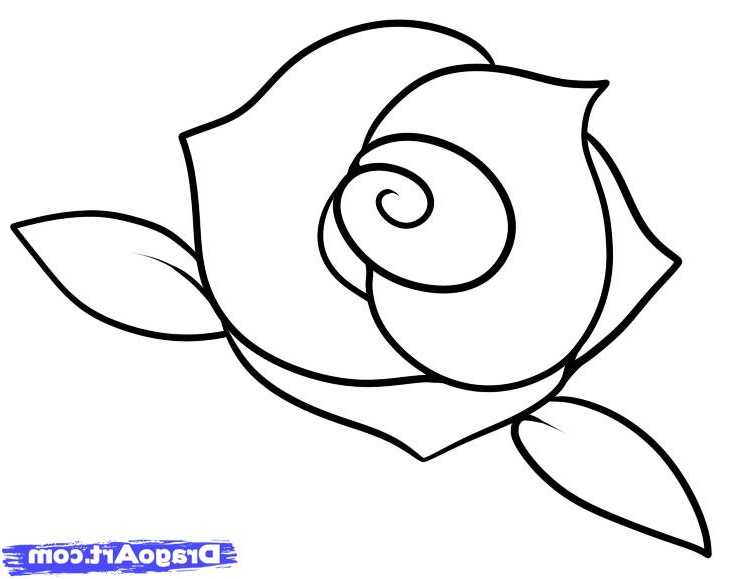 Rose Dessin Simple Cool Stock Smart Class Still Life Roses 101