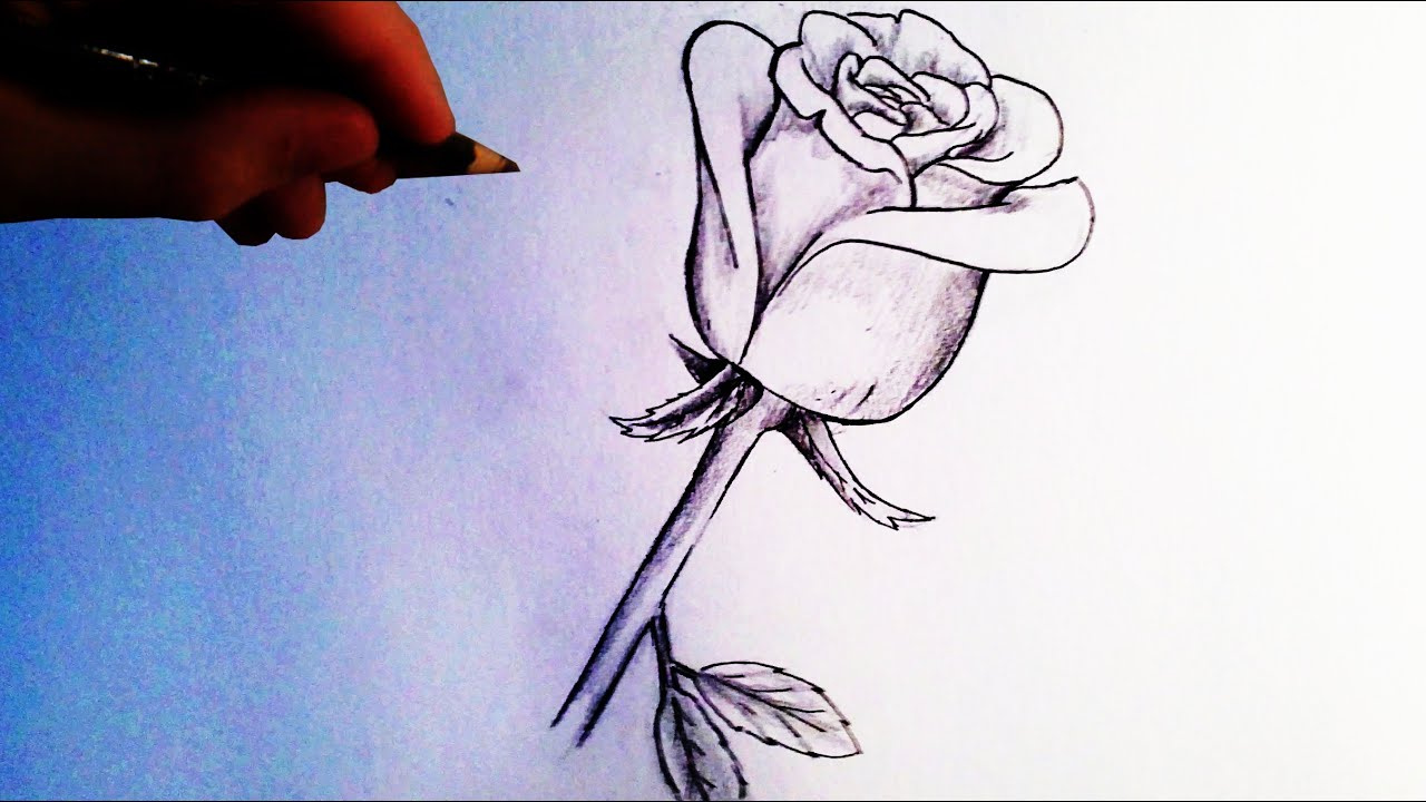 Rose Dessin Simple Unique Photographie How to Draw A Rose Easy Tutorial