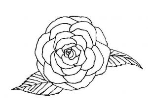 Rose Dessin Simple Unique Photos Coloriage Dessiner Rose Des Vents 3871 Rose Simple