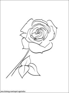 Rose Fleur Dessin Cool Photos Dessin Et Coloriage Rose Parfumée à Imprimer