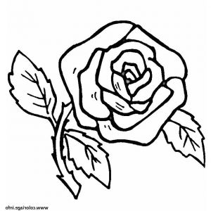 Rose Fleur Dessin Luxe Images Coloriage Fleur Rose Simple Et Facile Dessin