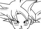 Sangoku Dessin Beau Stock Coloriage Visage son Goku à Imprimer Sur Coloriages Fo