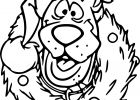 Scooby Doo Dessin Impressionnant Images Beau Dessin Scooby Doo A Colorier – Mademoiselleosaki