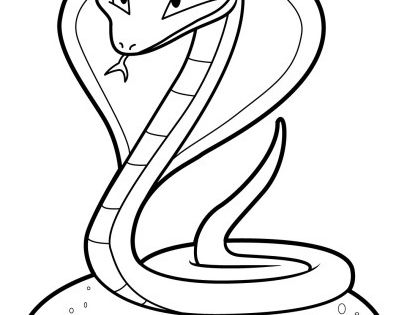  Serpent  Dessin Facile  Inspirant Image Coloriage Serpent   